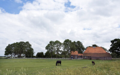 Woonboerderij met schuur, paardenbak en weiland: 10,4% of 2% overdrachtsbelasting?